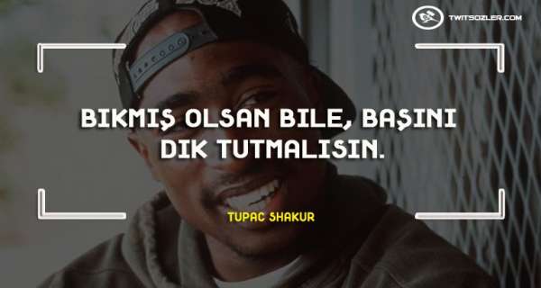 basinizi dik tutun sozler ve alintilar