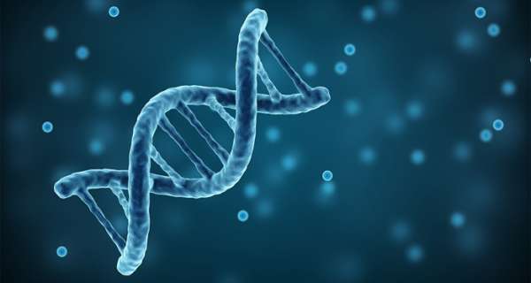 DNA ile İlgili Sözler ve Alıntılar