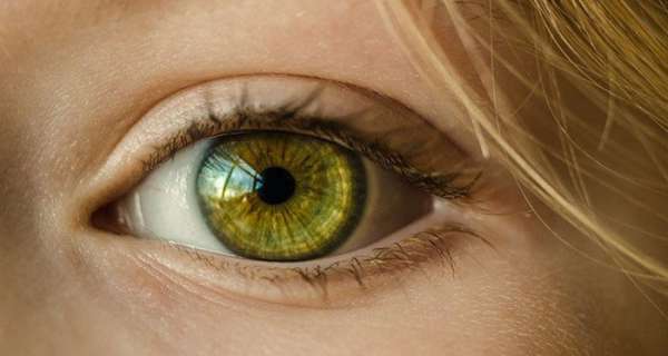 Yeşil Göz İle İlgili Sözler ve Alıntılar